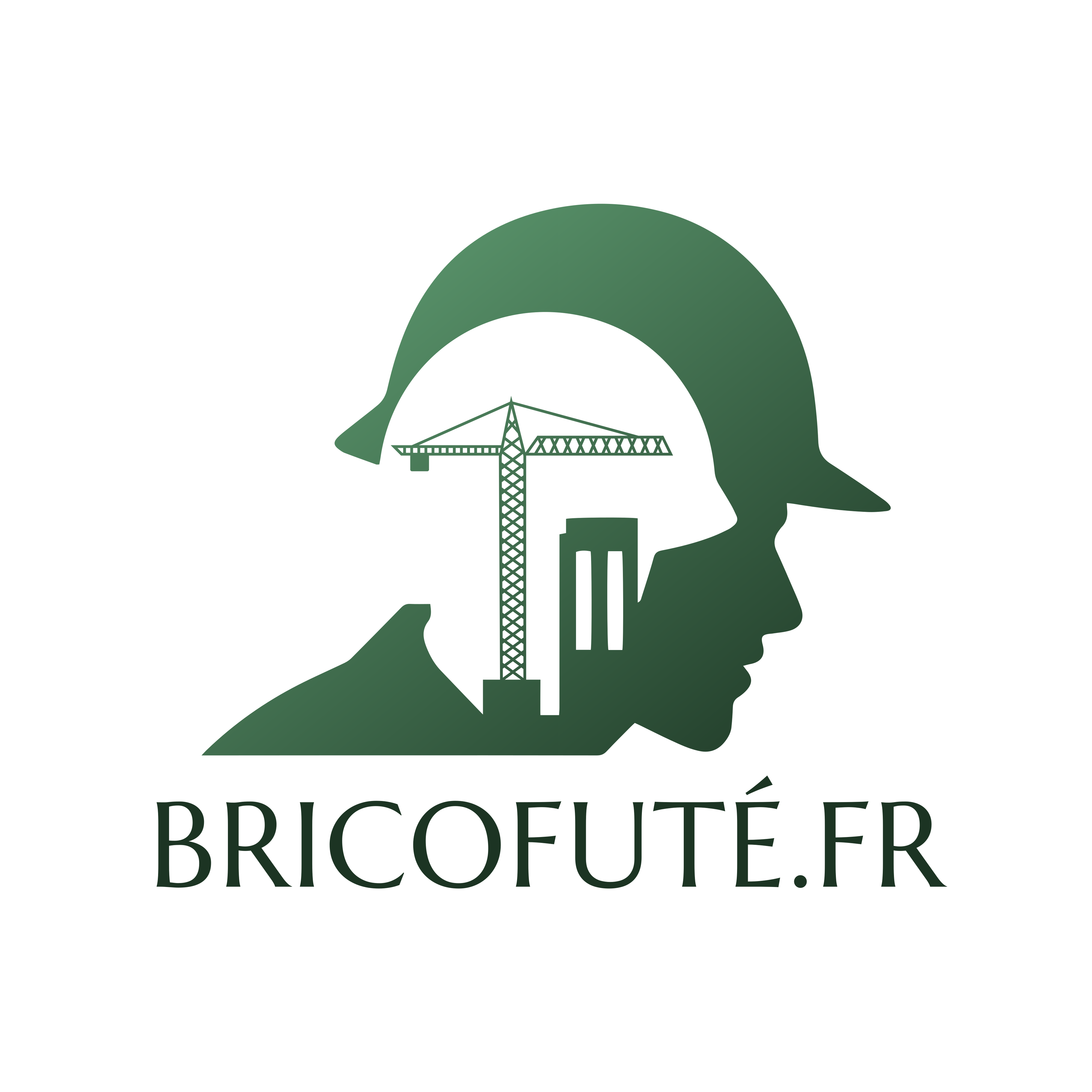 Bricofuté